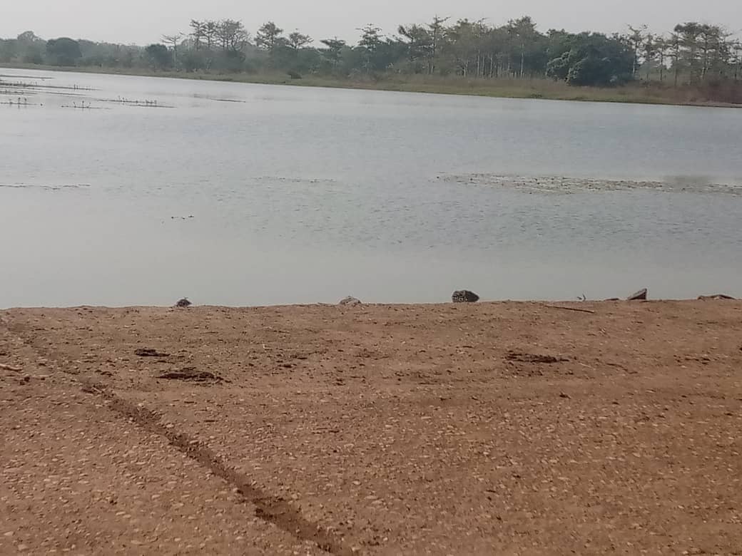 Barrage à poisson de Kogbétohoué, vue 1