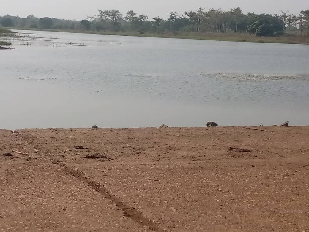 Barrage à poisson de Kogbétohoué, vue 4